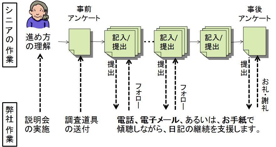 シニアと共に実施する調査の過程