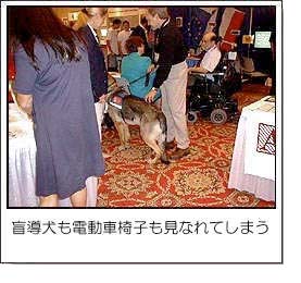 盲導犬も電動車椅子も見なれてしまう