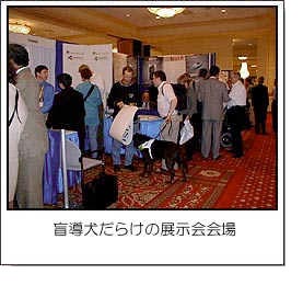 盲導犬だらけの展示会会場