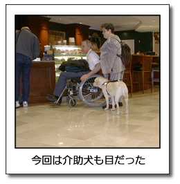 今回は介助犬も目だった